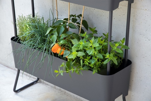 Maiori Planters